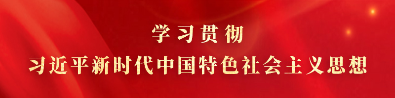 学习贯彻习近平新时代中国特色社会主义思想